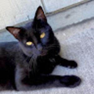 Meet your Posher, Alexander